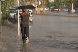 Milenio - News update