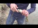 How to keep fish alive on stringer - General Bass Fishing Forum