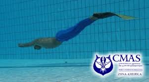 Image result for underwater rugby cali colombia 2015