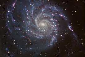 Image result for galaxy m101