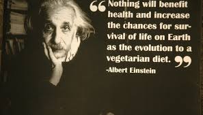 Vegetarian Quotes and Sayings - Good Vegetarian Thoughts, Messages via Relatably.com