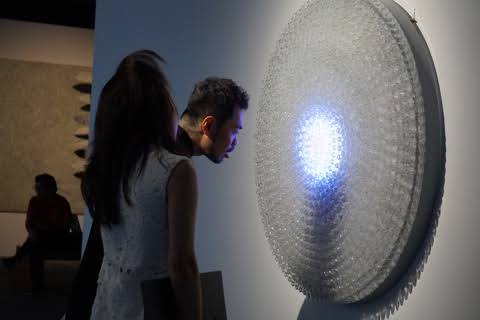 Chuyện đám bèo hoa dâu Việt Nam được Phạm Tuân mang lên vũ trụ bước vào tác phẩm nghệ thuật