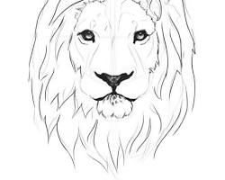 Image of detailed drawing of a lion's mane