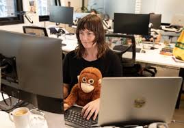 Punch the Monkey and the Viral Orangutan Toy: A Story of Comfort and Captivity