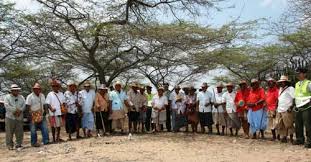 Image result for wayuu