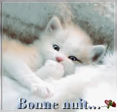 Résultat de recherche d'images pour "image bonne nuit"