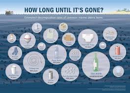 Image result for PLASTIC WASTE IN OCEANS