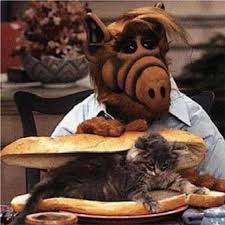 Image result for ALF