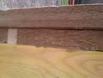 Fibre de bois isolation acoustique