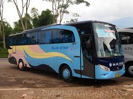 Image result for BLUE STAR pariwisata