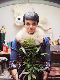 Image result wey dey for pussy