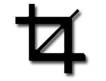 Image result for Crop Tool adobe photoshop