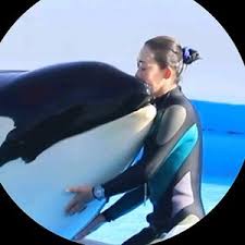 Anh Lan Pham (@didijdjs2) | TikTok