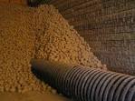 Video Bulk Potato Cold Store - Loading Unloading -