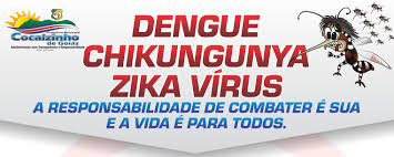 Resultado de imagem para dengue chikungunya e zika vírus