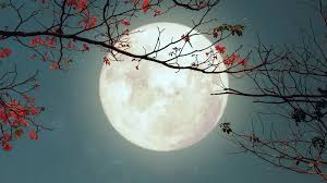 Luna hoy, domingo 1 de marzo: 