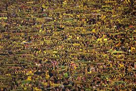 Comment Thread: Matchday Three vs SC Paderborn