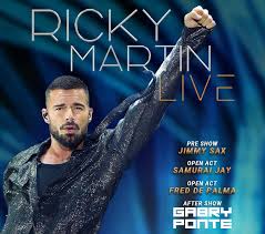 Trend Google: ricky martin