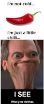 I&#39;m just a little chilli. Details ﻿I&#39;m not cold... I&#39;m just a little chilli... funny pictures,auto - funny-pictures-auto-416944