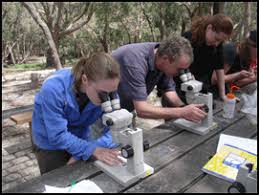 Image result for organisms and their environment