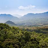 Araku Valley