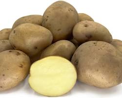 Image of Kufri Pukhraj Potato