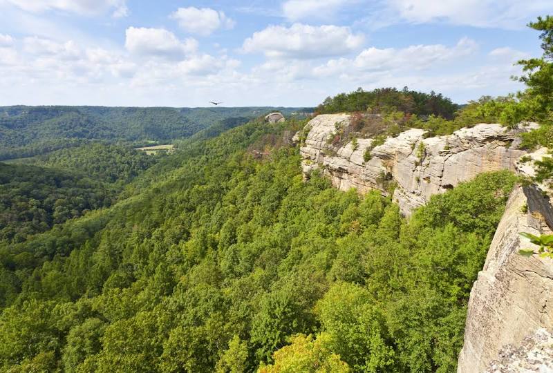 Red River Gorge Geological Area