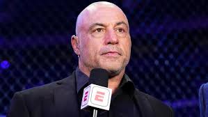 'Are You High?' Joe Rogan Says He Never Considered Meeting Epstein