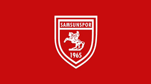 Sonsöz Gazetesi - News update