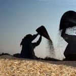 India better deal food stock-holding