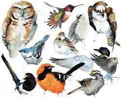 Resultado de imagen de Audubon Society