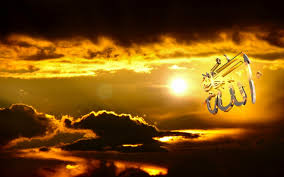 [Resim: images?q=tbn:ANd9GcQCOV7VylkBzoDSbI8JoWu...qMi4yFxljt]
