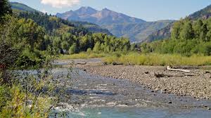 Picture of Crystal River