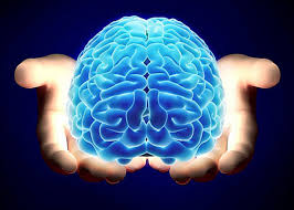 Resultado de imagen para capacidad del cerebro
