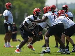 Bengals Training Camp