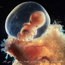 Image result for ‫شکلک نی نی تو دل مامانی‬&lrm;
