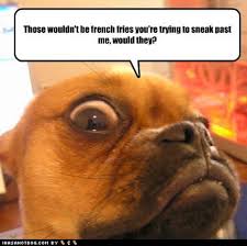 Funny Quotes About French. QuotesGram via Relatably.com