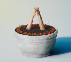 News source: Yahoo!ニュース