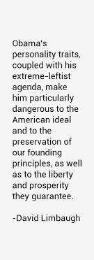 david-limbaugh-quotes-15616.png via Relatably.com