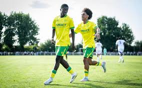 FC Nantes - News update