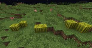 Image result for minecraft melon