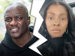 Akon's Wife, Tomeka Thiam, Files for Divorce Days Before 29th Anniversary