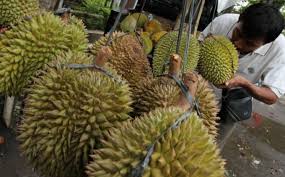 Hasil gambar untuk festival durian mijen