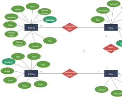 Image of ERD diagram showing User, Workout, and Exercise entities with their relationships