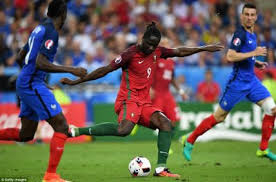 Image result for Portugal 1 France 0