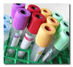 Image result for phlebotomy