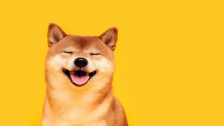 Shiba Inu rockets higher as S.Korean traders lead mystery rally; SHIB up 35%