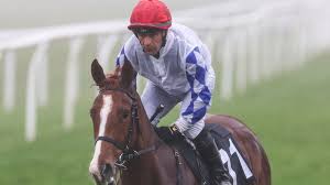 Kieren Fox suspended for 10 days over Wolverhampton ride