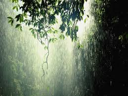 Image result for rain falling