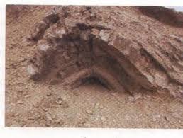 Image result for محميه الدبابيه الطبيعيه